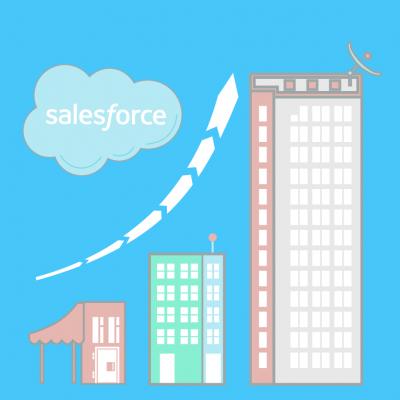 Salesforce Planning for Business